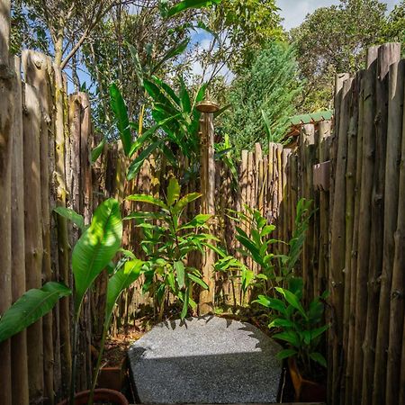 Bubblesky Glamping Guatape Guatapé Exterior foto