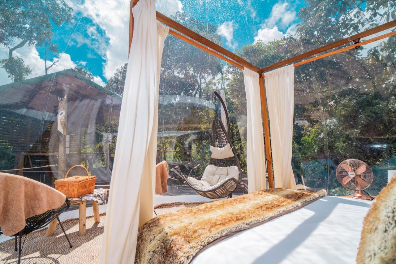 Bubblesky Glamping Guatape Guatapé Exterior foto